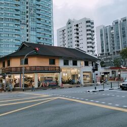 Balestier Road (D12), Shop House #595007321